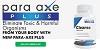 Para-Axe Plus Logo